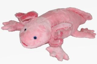 Obrázek z Axolotl plyš 59cm (3) 